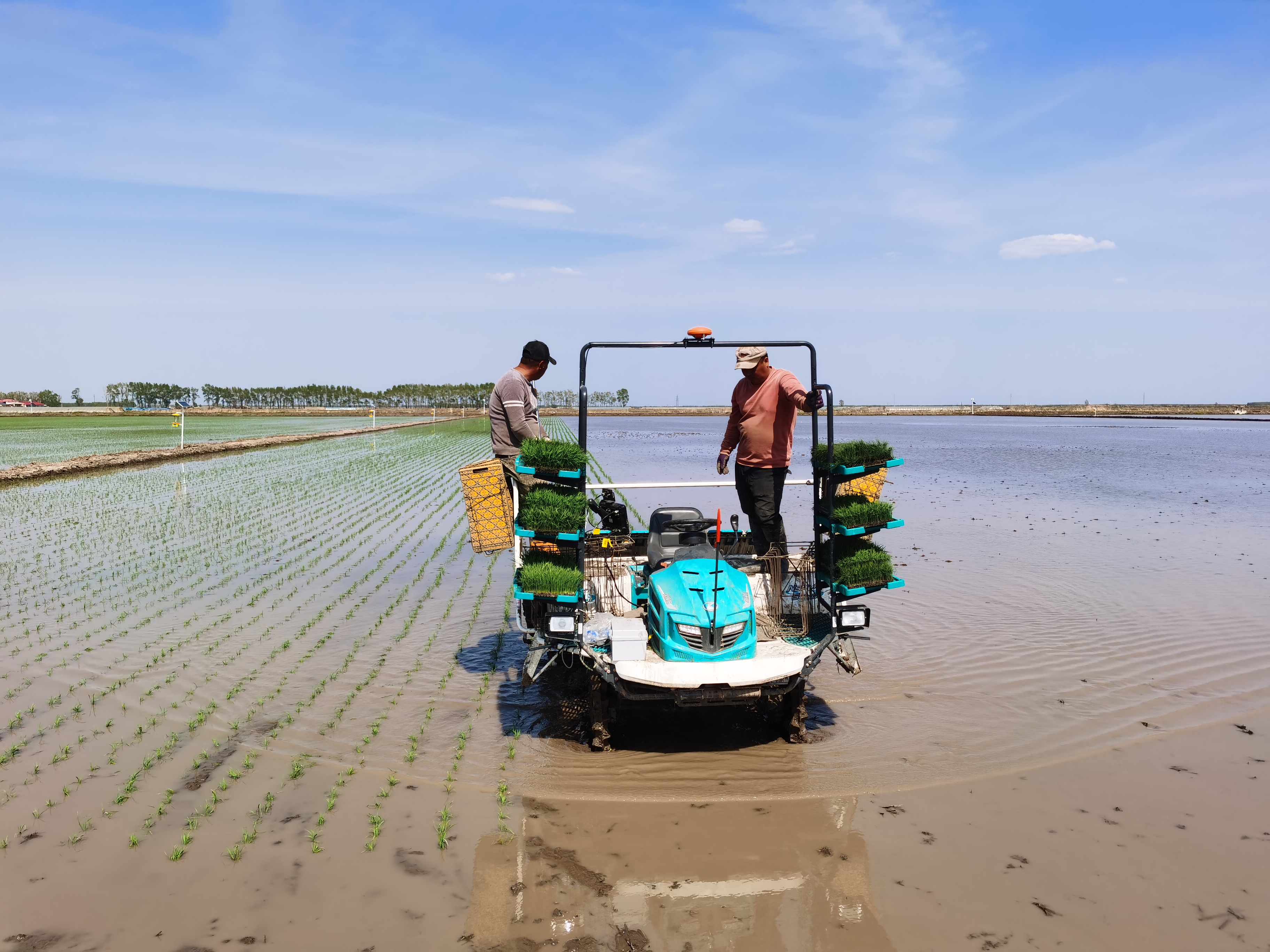 Huida 벼 재배를 위한 기술 스마트 농업 장비